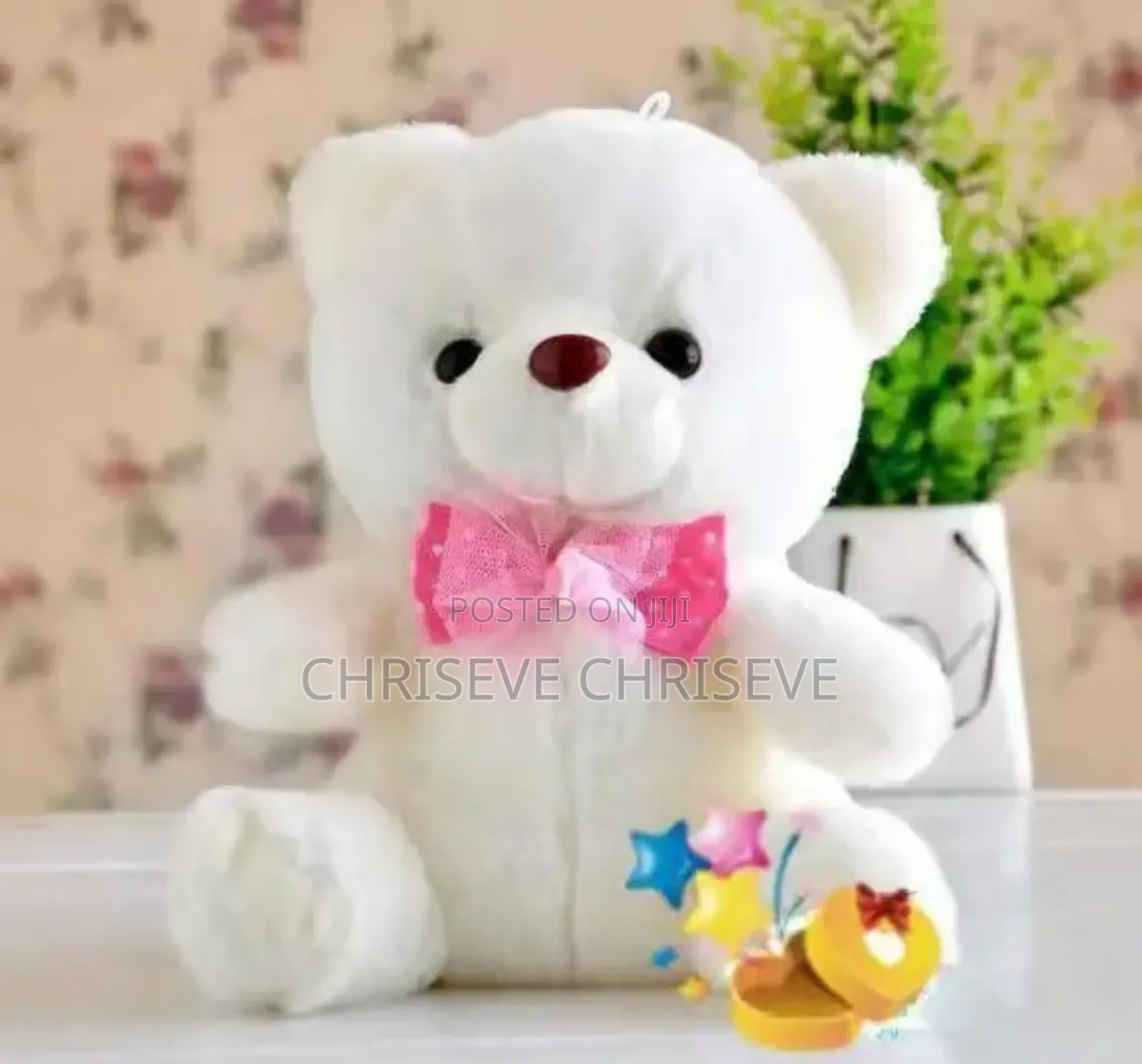 Teddy Bear 