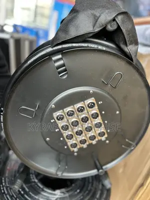 12 Channel Audio Link