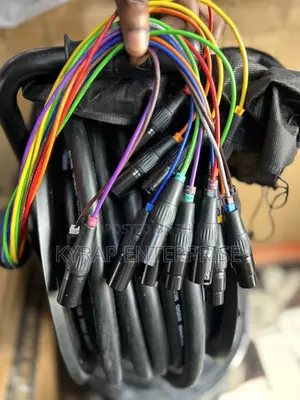 12 Channel Audio Link
