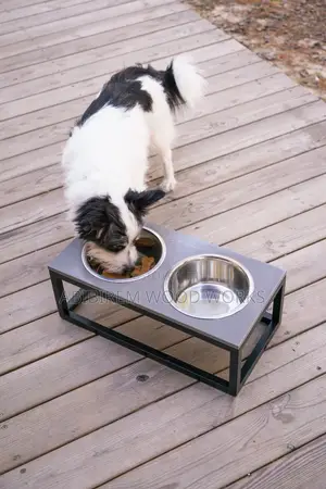 Indoor and Outdoor Pet Dog Feeder