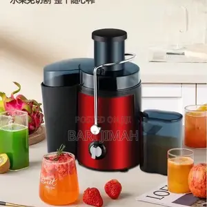 Fruit Juicer