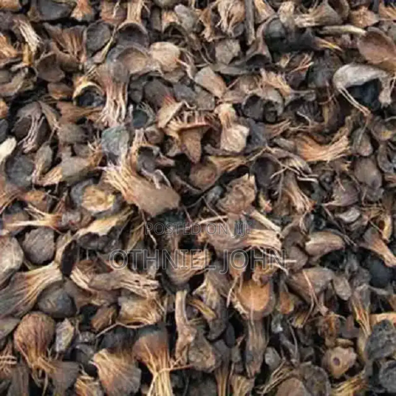 Palm Kernel Shell