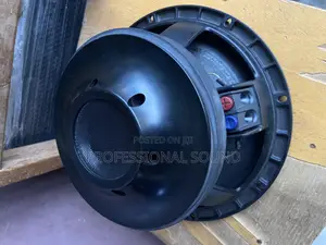 RCF 12” Naked Speaker