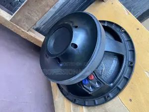 RCF 12” Naked Speaker