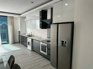 Furnished 2bdrm Apartment in Osu for rent