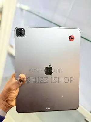 Apple iPad Pro 12.9 (2021) 256 GB Gray