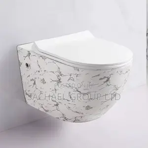 Black Concealed Water Closet