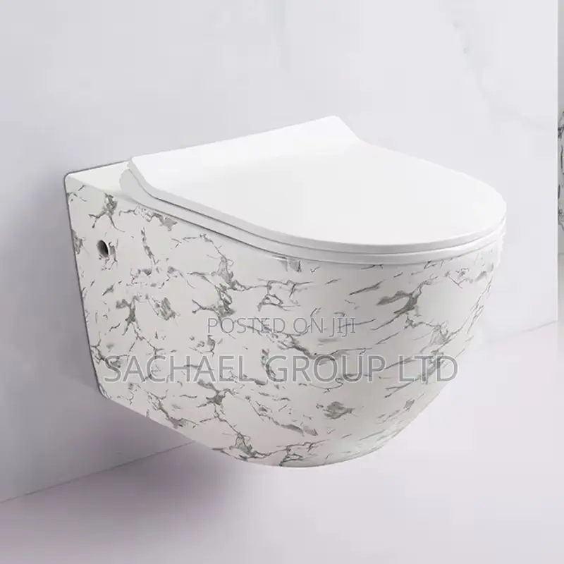 Black Concealed Water Closet