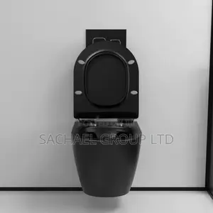 Black Concealed Water Closet