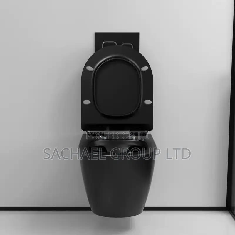 Black Concealed Water Closet