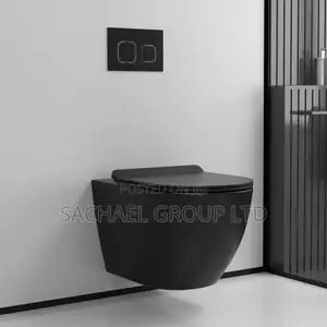 Black Concealed Water Closet