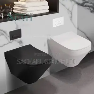Black Concealed Water Closet