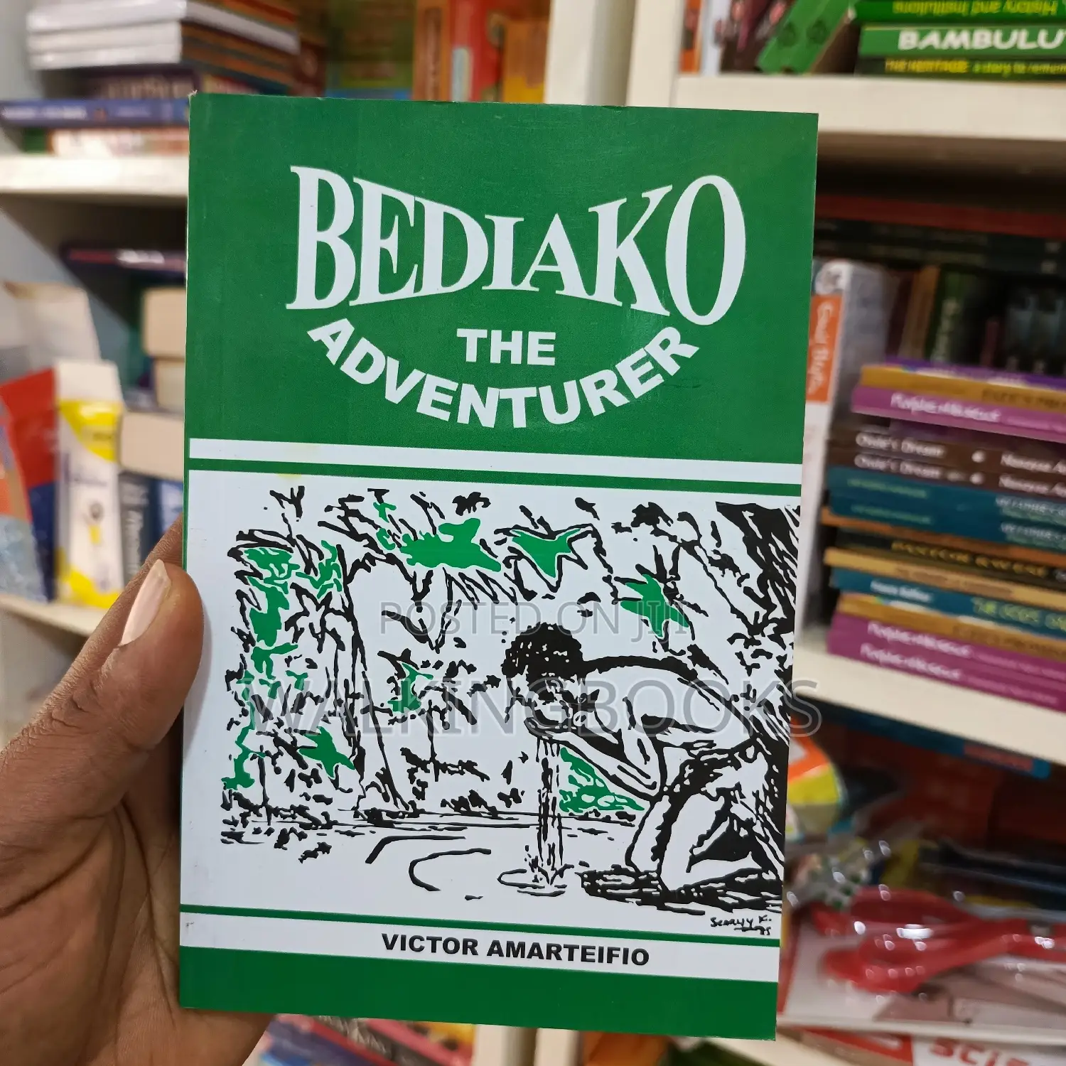 Bediako: The Adventurer