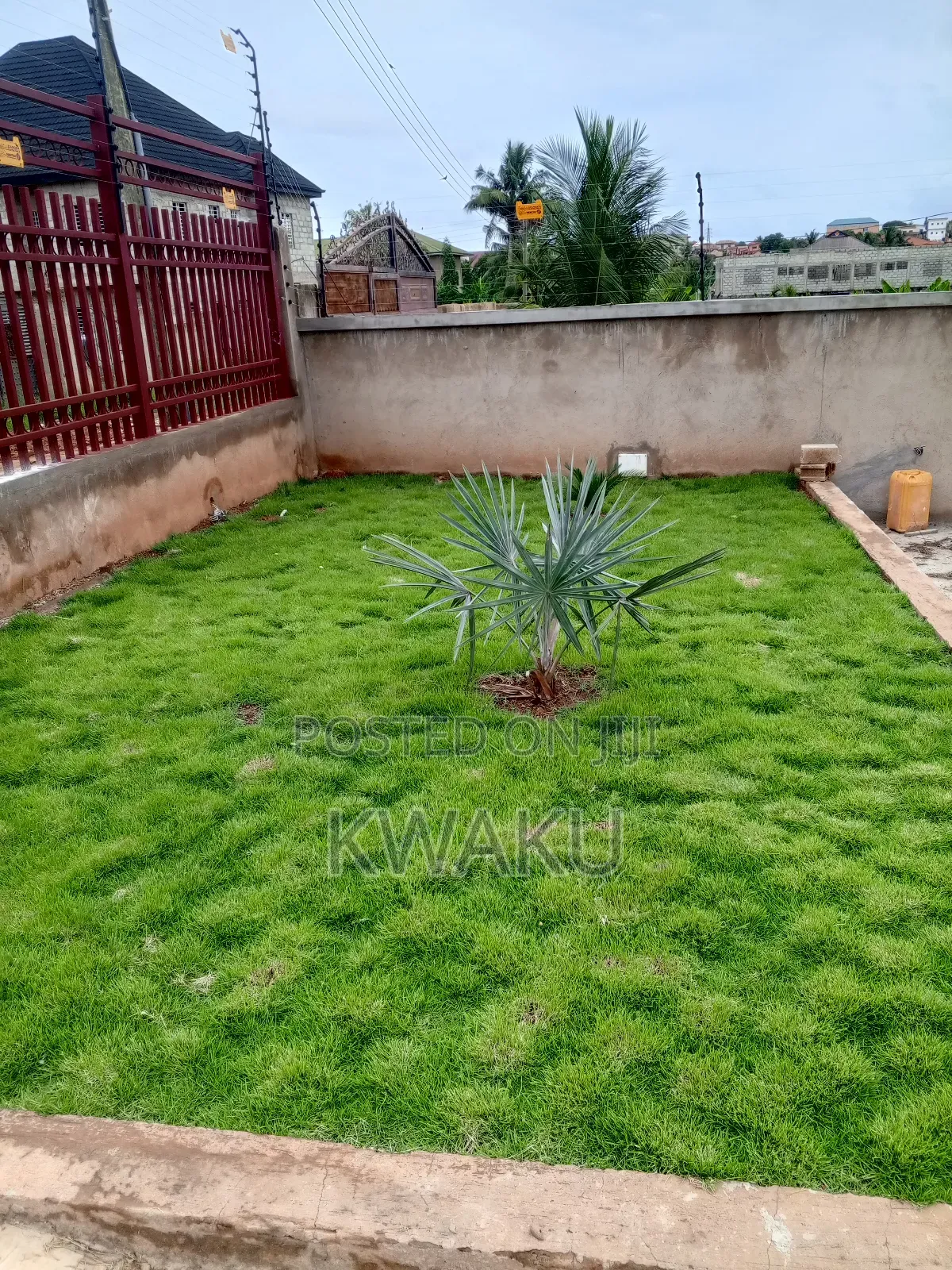 Flowers and Green Grass for Sale