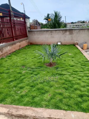 Flowers and Green Grass for Sale