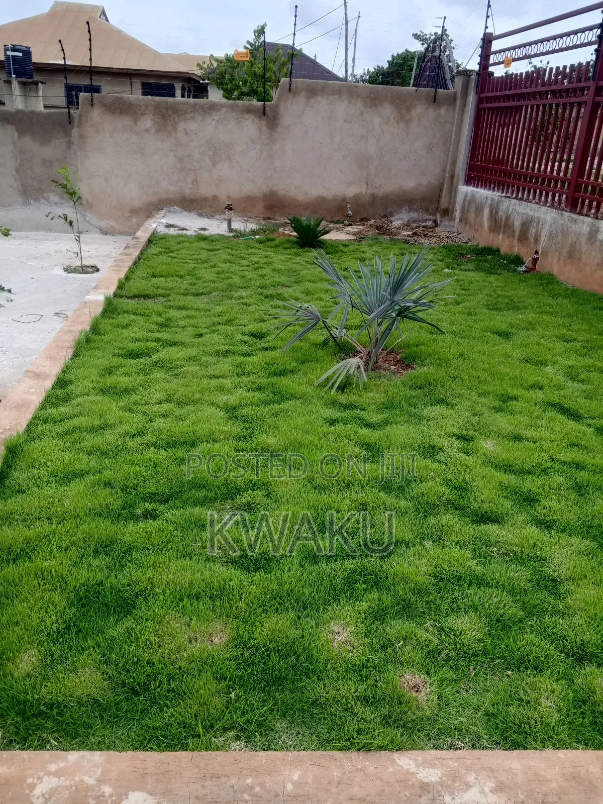 Flowers and Green Grass for Sale