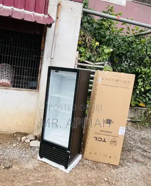 High Quality TCL F215cb 215l Electric Display Fridge.