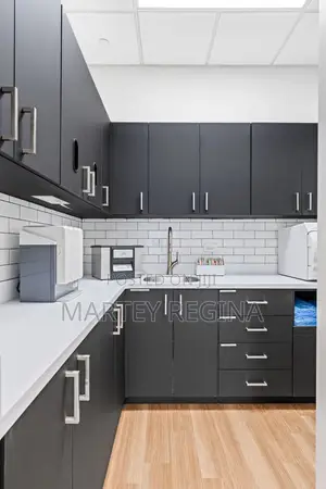 Luxury Kitchen Cabinets