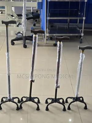 Walking Stick (Quard Cane)