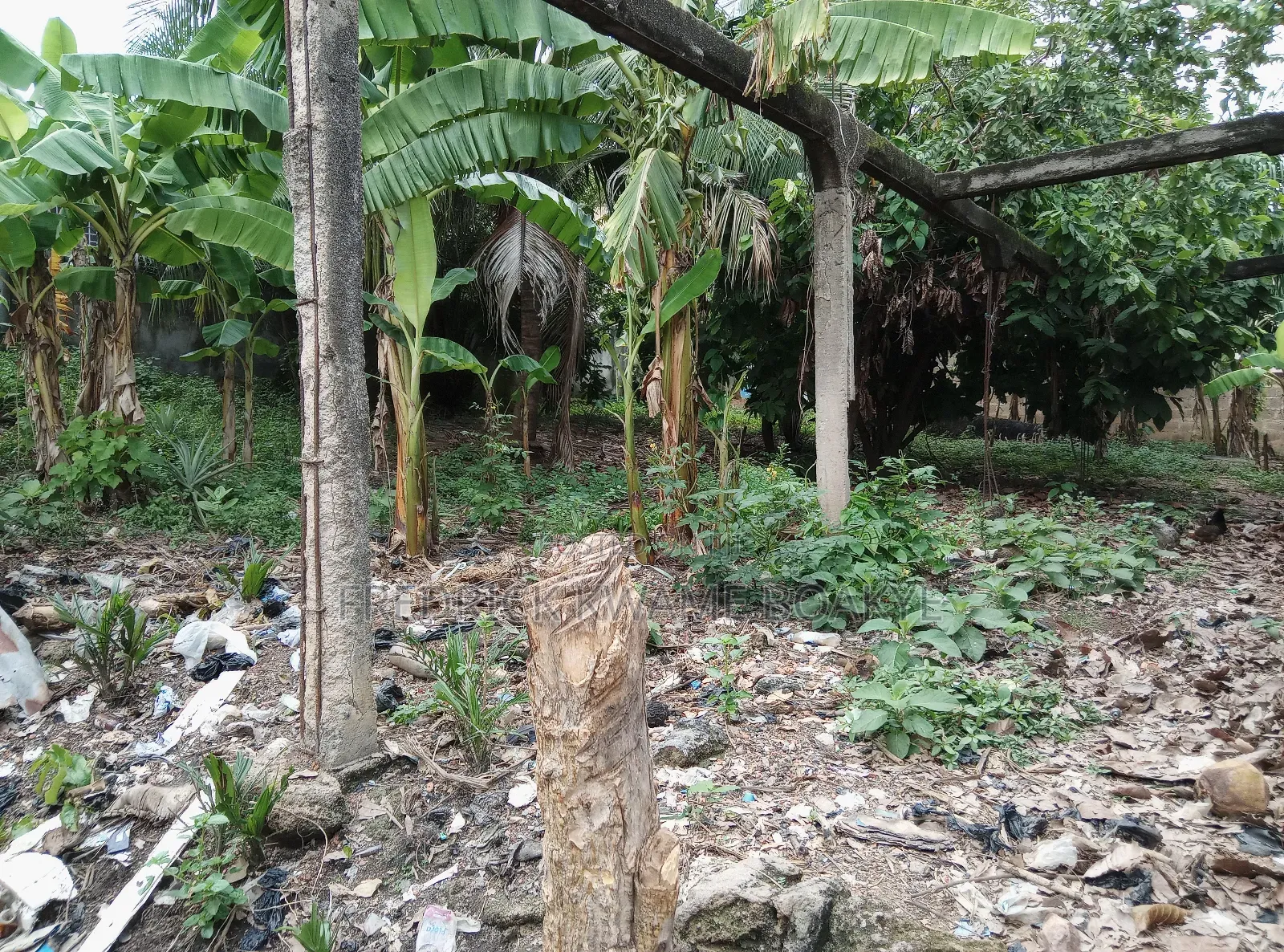 Plot of Land for Sale at Abuakwa Koforidua
