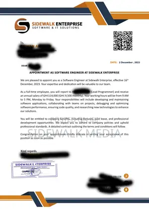 Verifiable Employment Letter and Payslip for Visa Applicati
