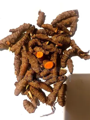 Fresh Organic Turmeric Root
