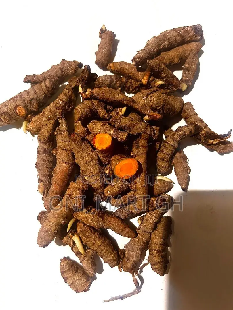 Fresh Organic Turmeric Root