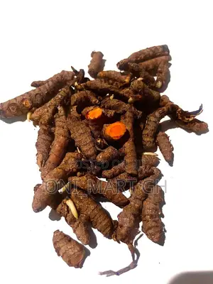 Fresh Organic Turmeric Root