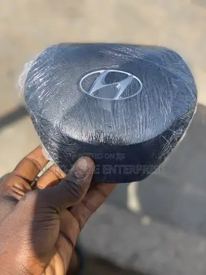 Hyundai Santa Fe 2019 Steering Wheel Airbag Cover