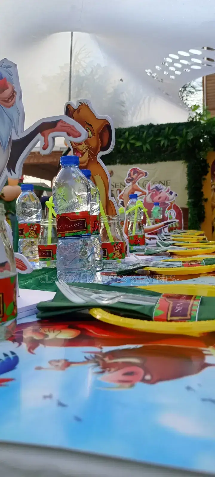 Kids Character Themed Party