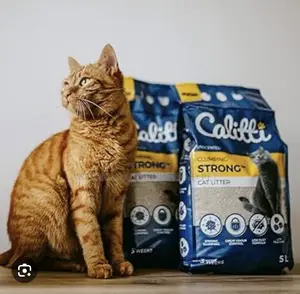 Quality Cat Litter Sand