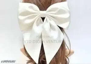 Luxury Hair Ribbon With Clips Bow Nots