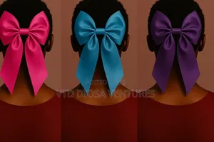 Luxury Hair Ribbon With Clips Bow Nots