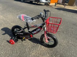 New Kids Bike