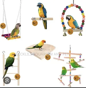 Bell Parrot Toys (For All Types of Birds)