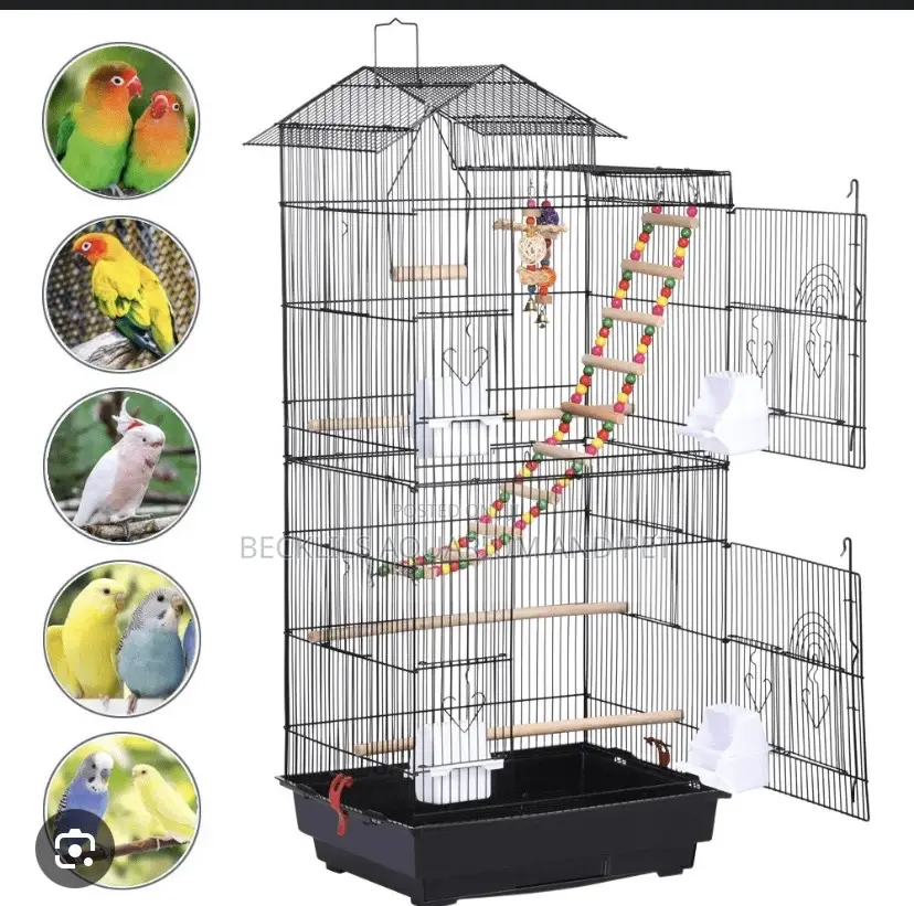 Tophill Toys for Parrot
