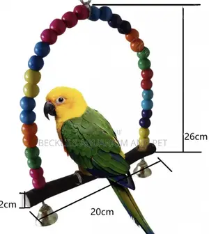 Wood Swing Parrot Toys