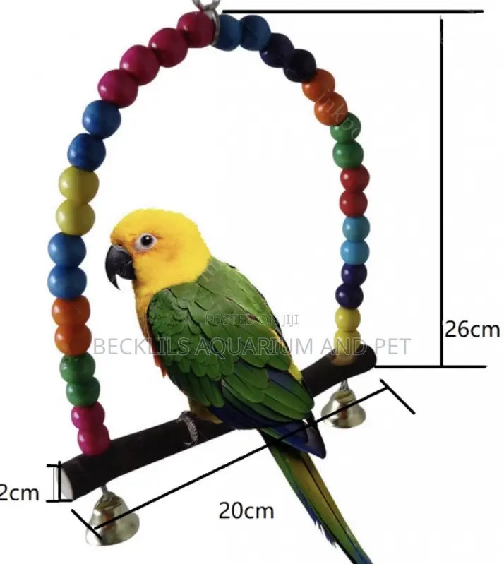 Wood Swing Parrot Toys