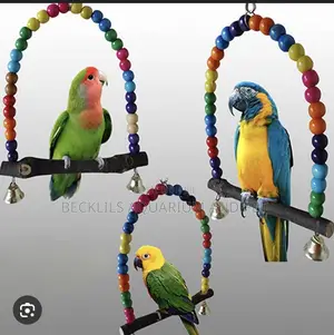 Wood Swing Parrot Toys