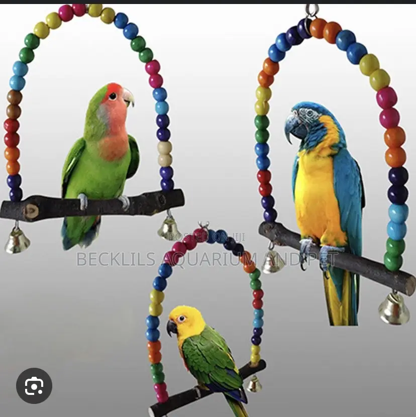 Wood Swing Parrot Toys