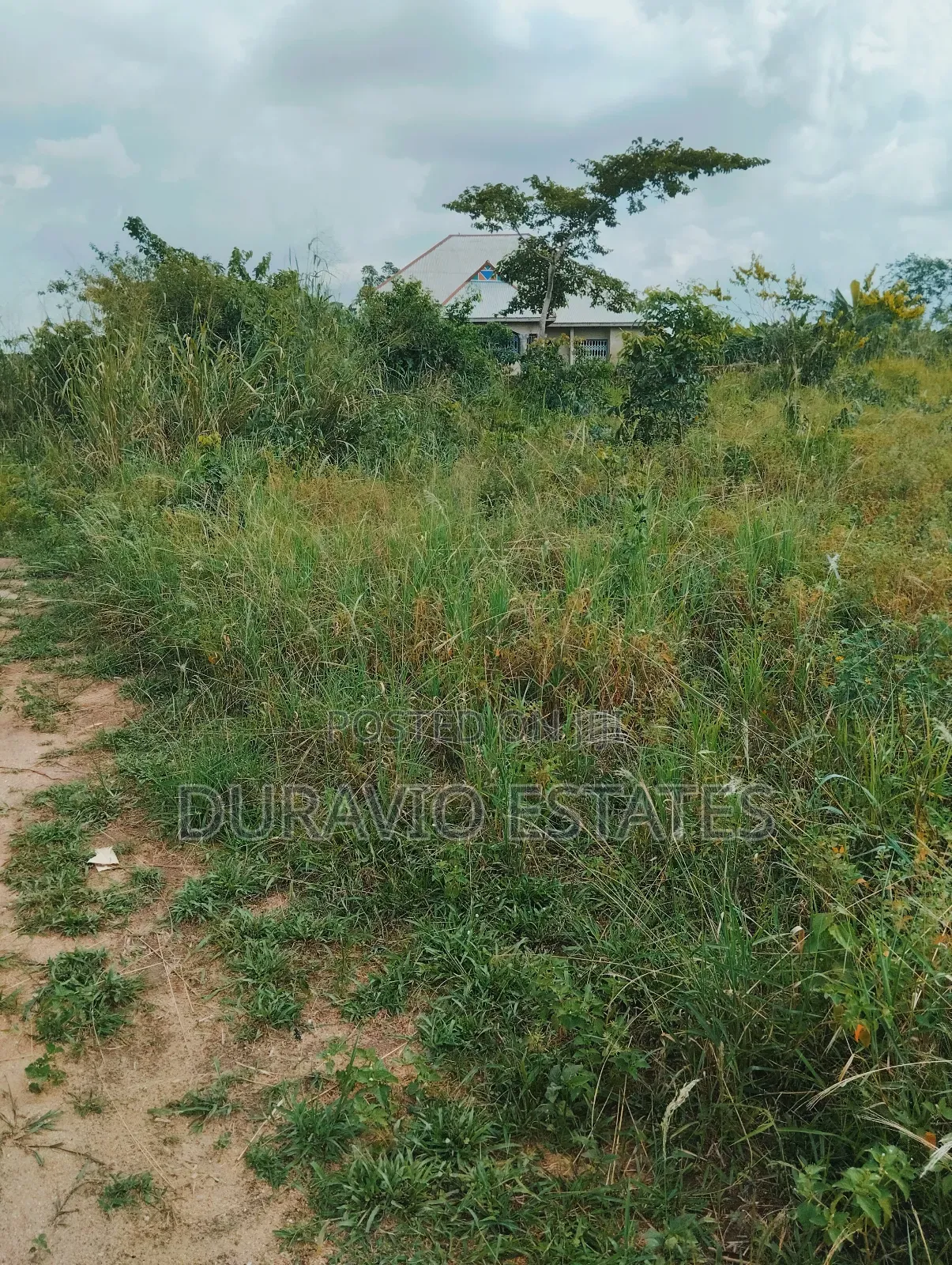 Plot in Adumakase