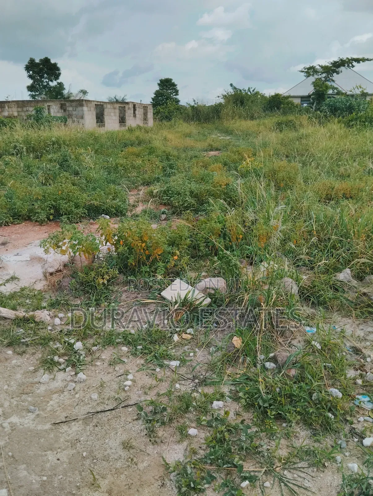 Plot in Adumakase