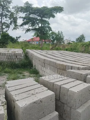 Plot in Adumakase