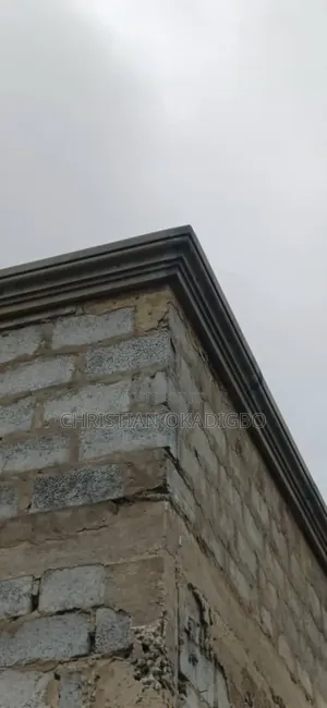 Copping And Molding Design Window Construction
