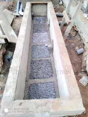 Are You Looking for a Biodigester System