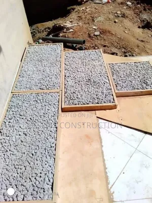 Are You Looking for a Biodigester System