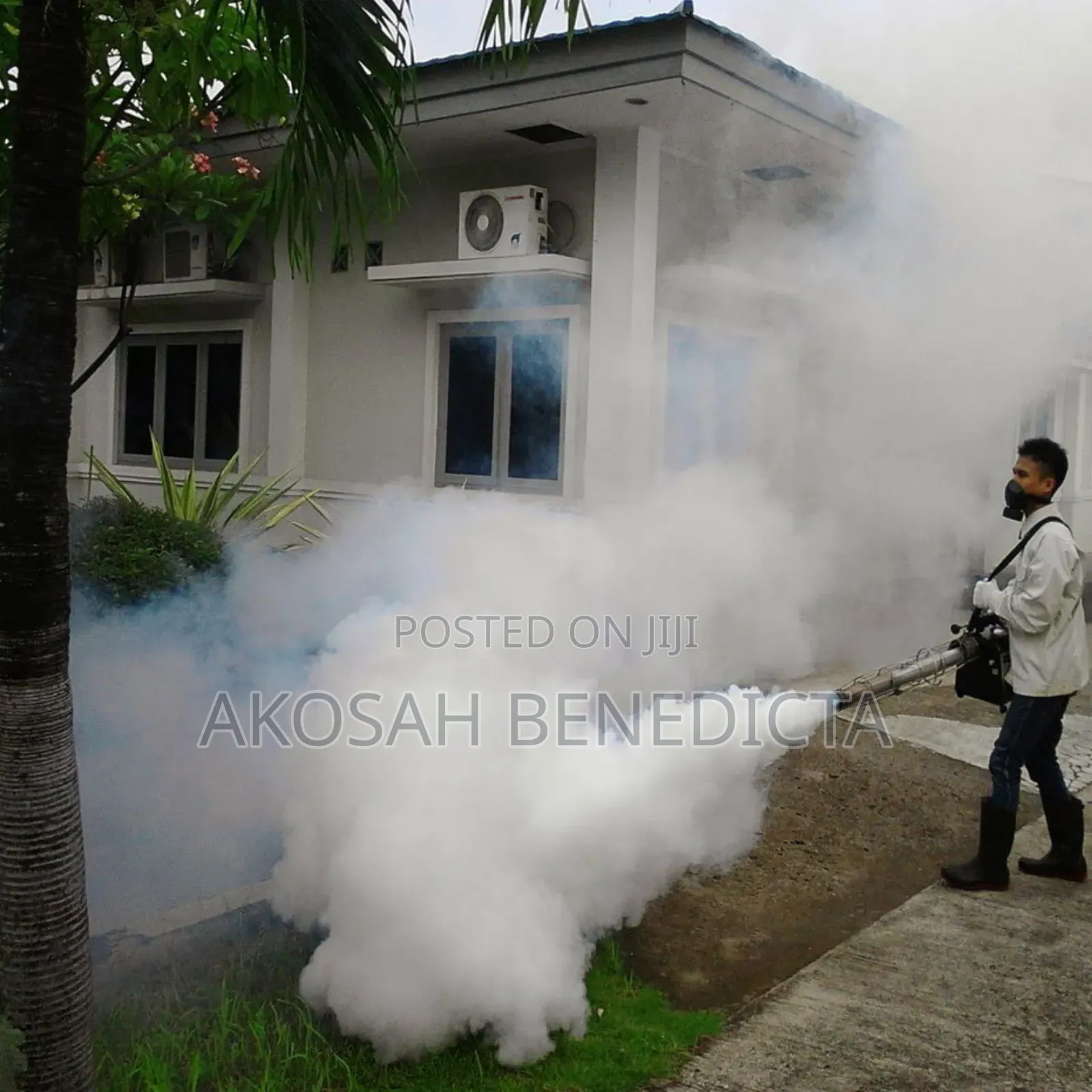 Fumigation Service