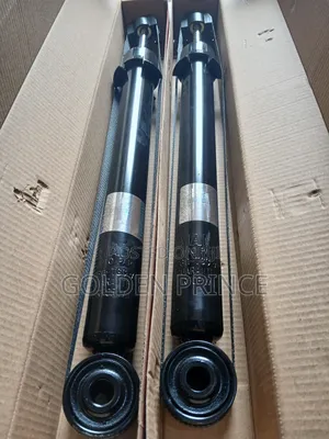 Civic Back Shocks 2017-2021