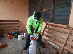 Specialised Bedbugs,Cockraches,Ants Treatment
