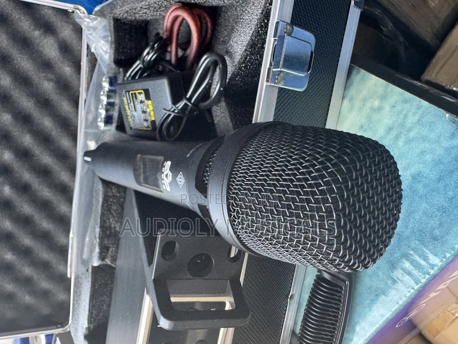 Evp- Audio Ewg-1 Professional Microphone